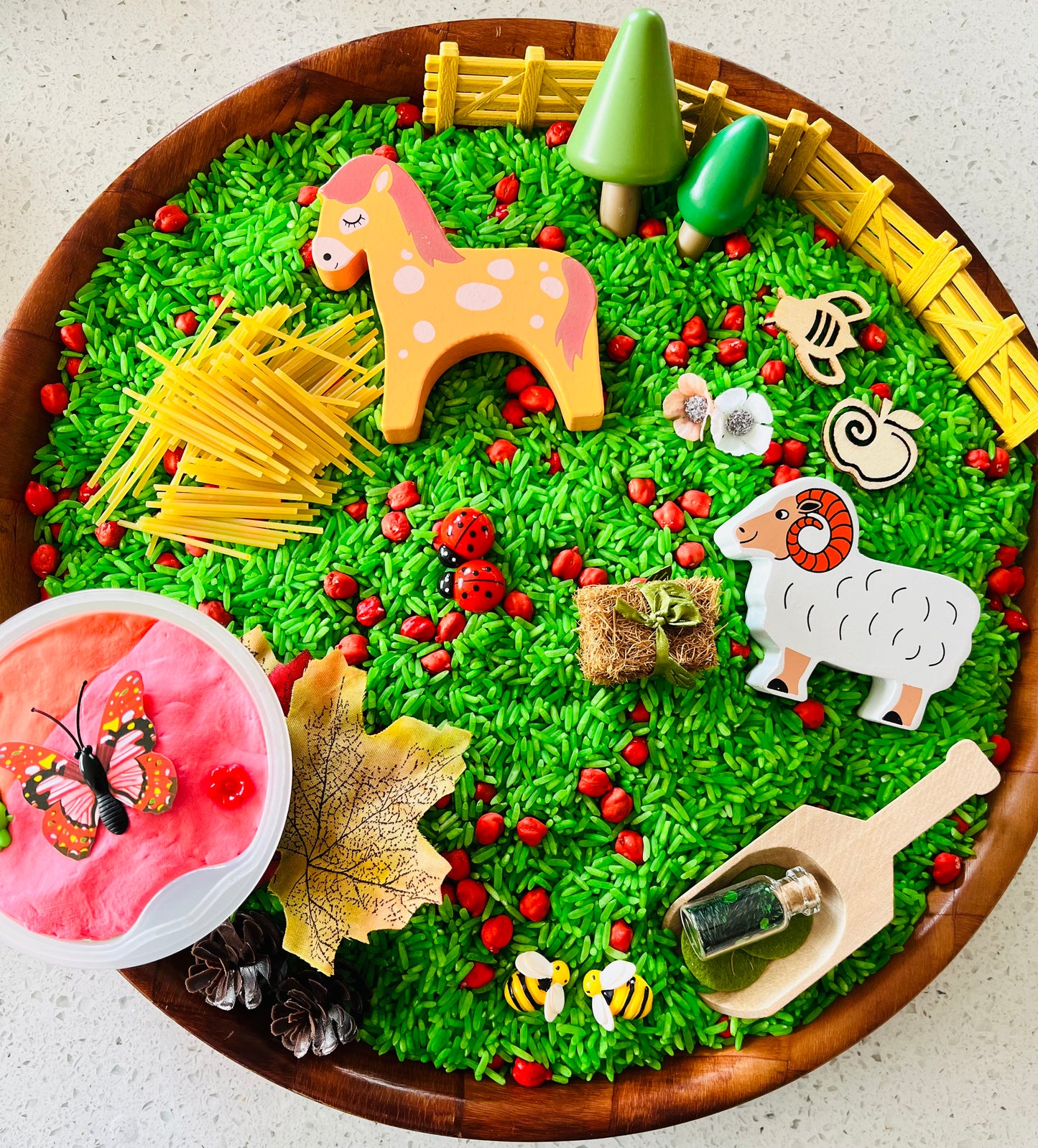 “You Choose” Sensory Rice Kit