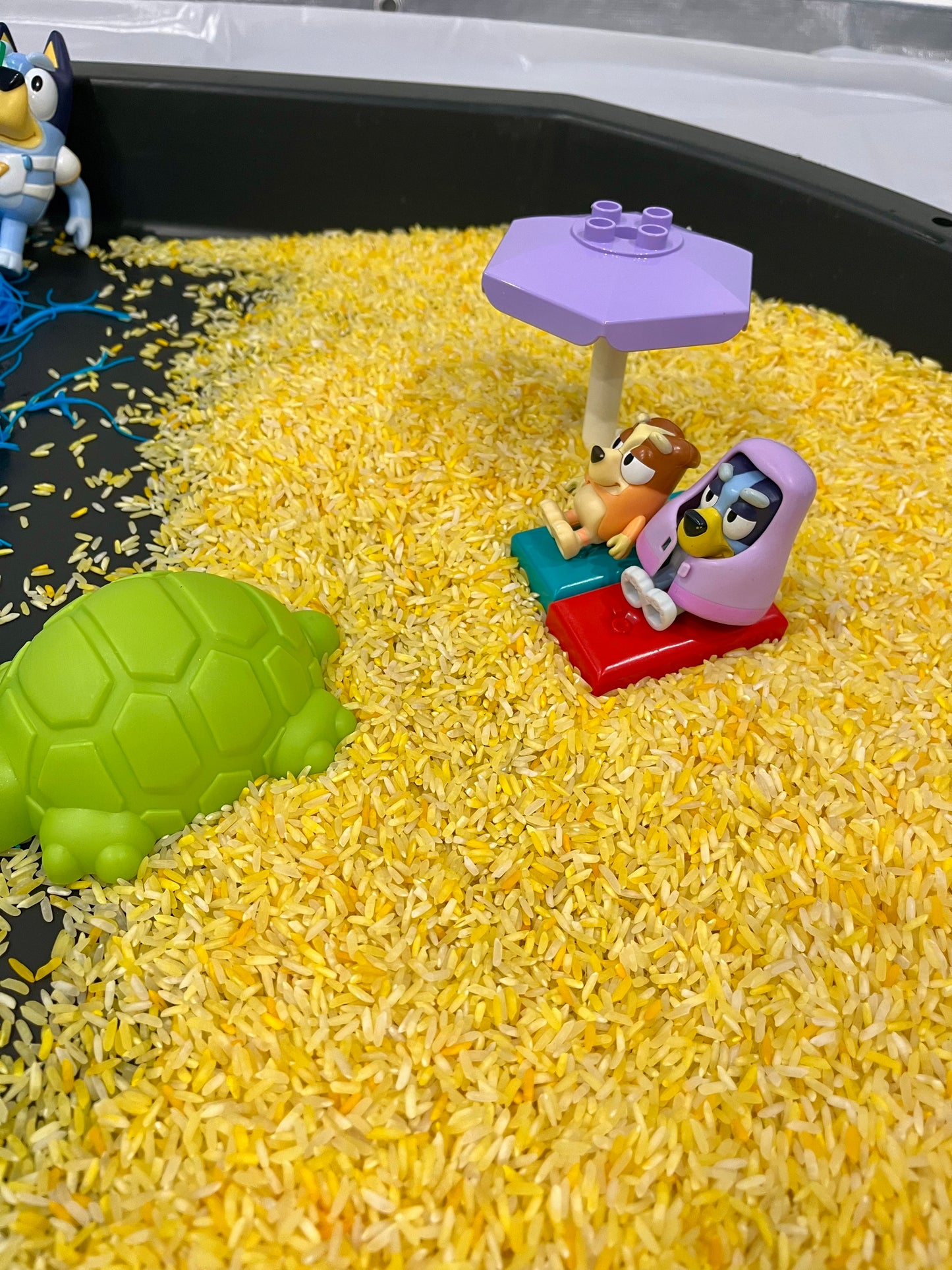 Bluey-Inspired Messy Play! (3/8/26)