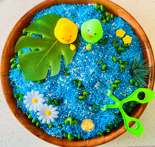 Duck pond Sensory Kit